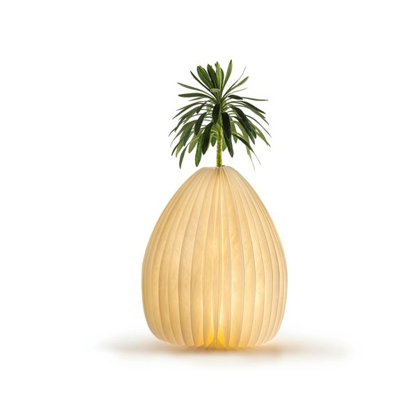 Smart Vase Light Natural walnut wood 