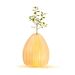 Smart Vase Light Natural walnut wood 