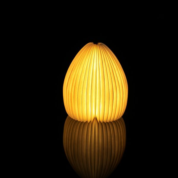 Smart Vase Light Natural walnut wood 