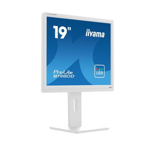 monitor  B1980D-W5  Iiyama