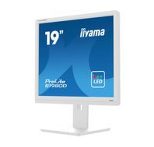 Prolite 19inch betrouwbare LED-backlit monitor met in hoogte verstelbare voet, ontworpen voor zakelijk gebruik Wit  Iiyama