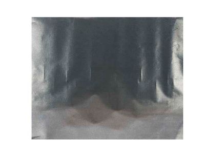 Bakfolie Vr De Oven 33x40cm 