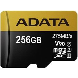 Adata AUSDX256GUII3CL10-CA1 