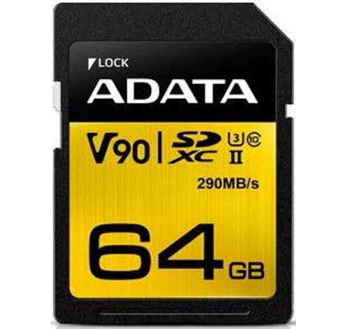 ASDX64GUII3CL10-C  Adata