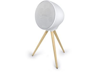 BT speaker