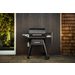 Traeger Ironwood 650 met D2 contoller