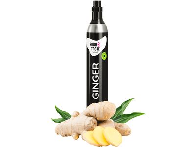 SodaTaste Ginger BIO CO² 60L