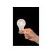 Lucide A60 - Filament lamp - Ø 6 cm - LED Dimb. - E27 - 1x5W 2700K - Transparant Lucide