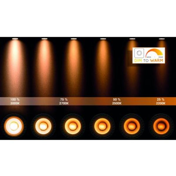 Lucide TAYLOR - Plafondspot Badkamer - LED Dim to warm - GU10 - 4x5W 2200K/3000K - IP44 - Zwart Lucide