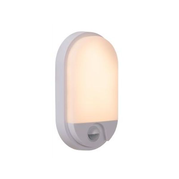 Lucide HUPS IR Wandlamp Buiten-Wit-LED-10W-3000K-IP54