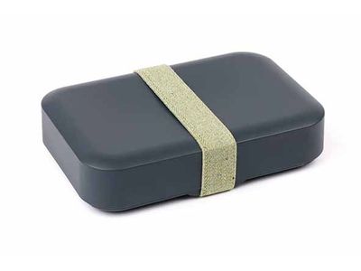 Zero Waste Lunchbox Large 21x14xh5cm