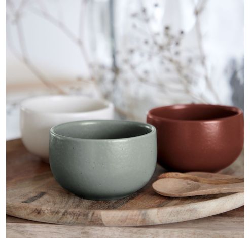 Pacifica by Casafina Ramekin 9cm Artichoke  Costa Nova