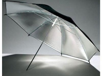 Flitsparaplu Silver/Black 101cm