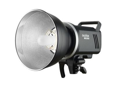 MS300