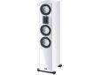 Signature 707 white