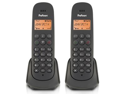 DECT telefoon met 2 handsets, grijs