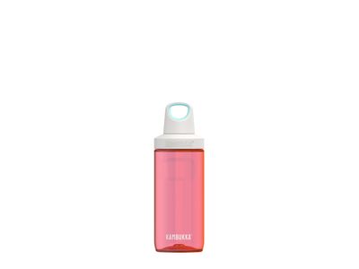 Reno 500 ml Strawberry Ice