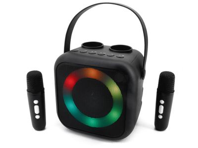 bt karaokesysteem BT2024SW