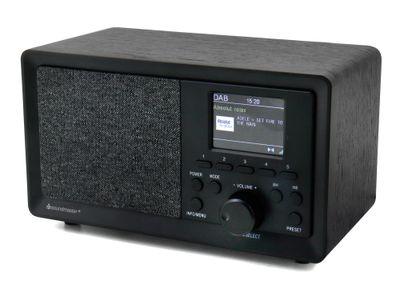 dab+ radio DAB350SW
