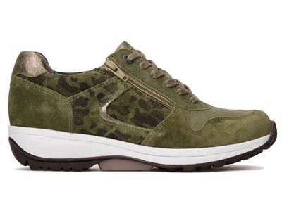 Jersey Pine 30042.2.468