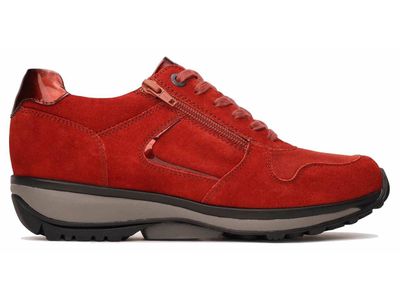 Jersey Red Kerala 30042.2.768