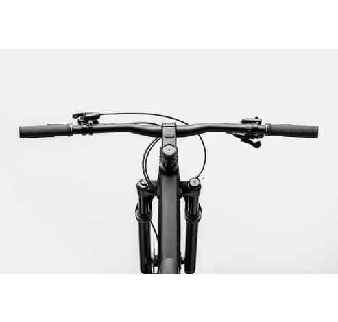 29 M TRAIL SL 3 BPL LG  Cannondale