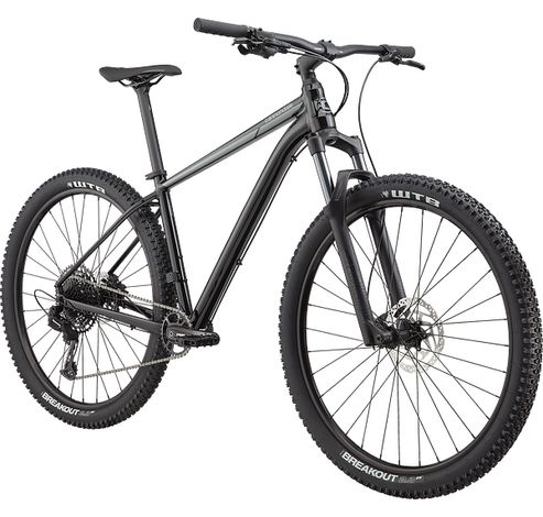 29 M TRAIL SL 3 BPL LG  Cannondale