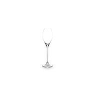 Fino Champagneglas 20cl - set/6 