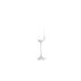 S|P Collection Mystique Champagneglas 19cl  set/4