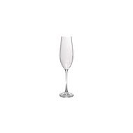 Saga Champagneglas 29cl - set/4 