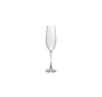 Saga Champagneglas 29cl - set/4 