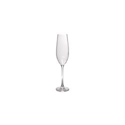 S|P Collection Saga Champagneglas 29cl - set/4