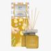 i-puro Essentials diffuser 50ml Ginger Treasure