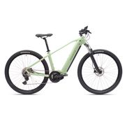 Elektrische mountainbike