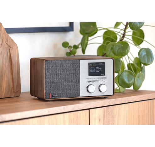 Supersound 301 [DAB+/internetradio/Spotify/Bluetooth][walnut]  Pinell