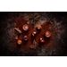 Chocolaterie Chocoladevorm Rose Set2 15 Pralines Per Vorm 