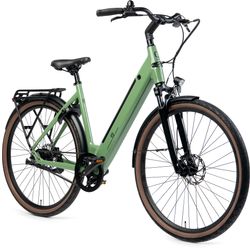 Huyser Q-bike D53 500Wh Reseda Green 