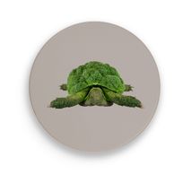 Kleurrijke keramische onderzetter 18cm Schildpad 