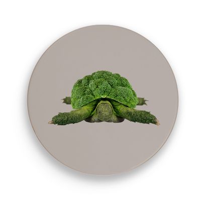 Kleurrijke keramische onderzetter 18cm Schildpad  WD Lifestyle