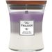 Woodwick Trilogy Geurkaars Medium Amethyst Sky