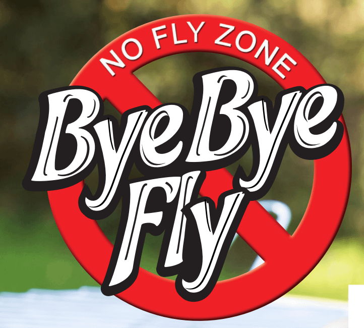 Bye Bye Fly