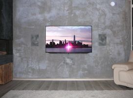 Realisatie Loewe Bild 55