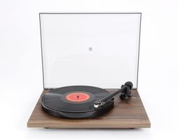 PLANAR 1 Walnut  nu  429,-